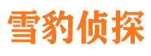 巫山市私家侦探